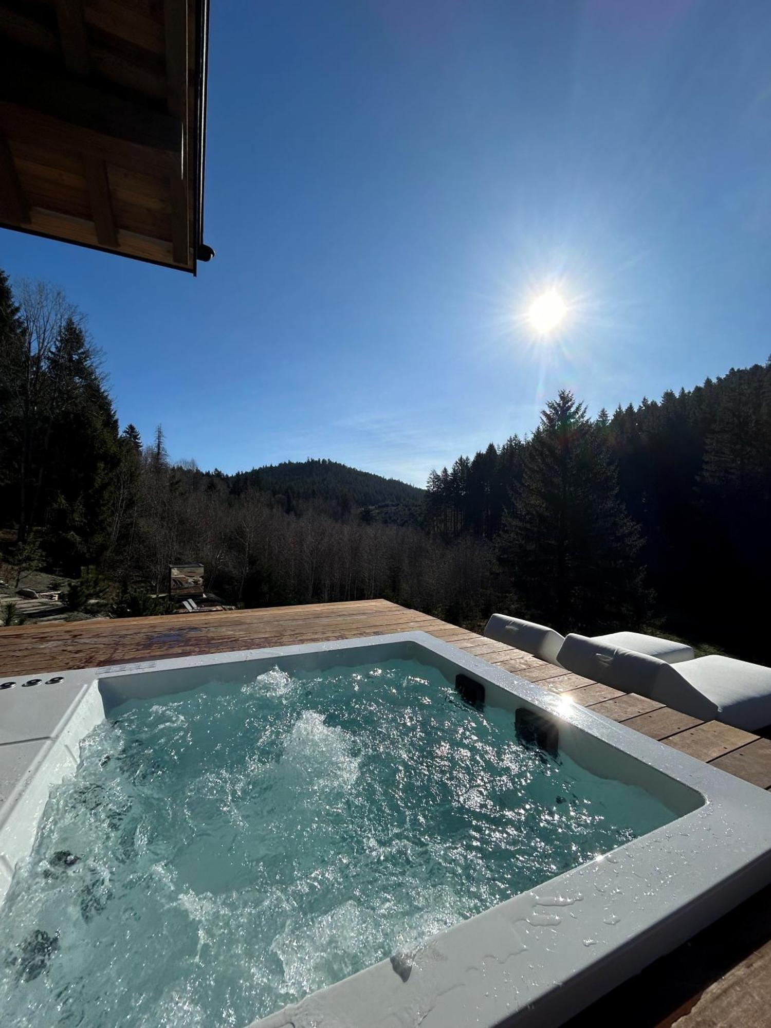 Domaine Les Terres Bleues Hotel Xonrupt-Longemer Exterior photo